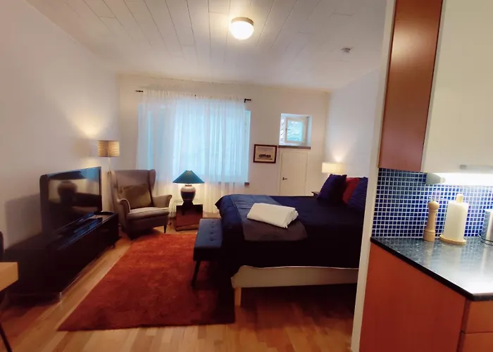 Cozy Nordic In The Heart Of Helsínquia